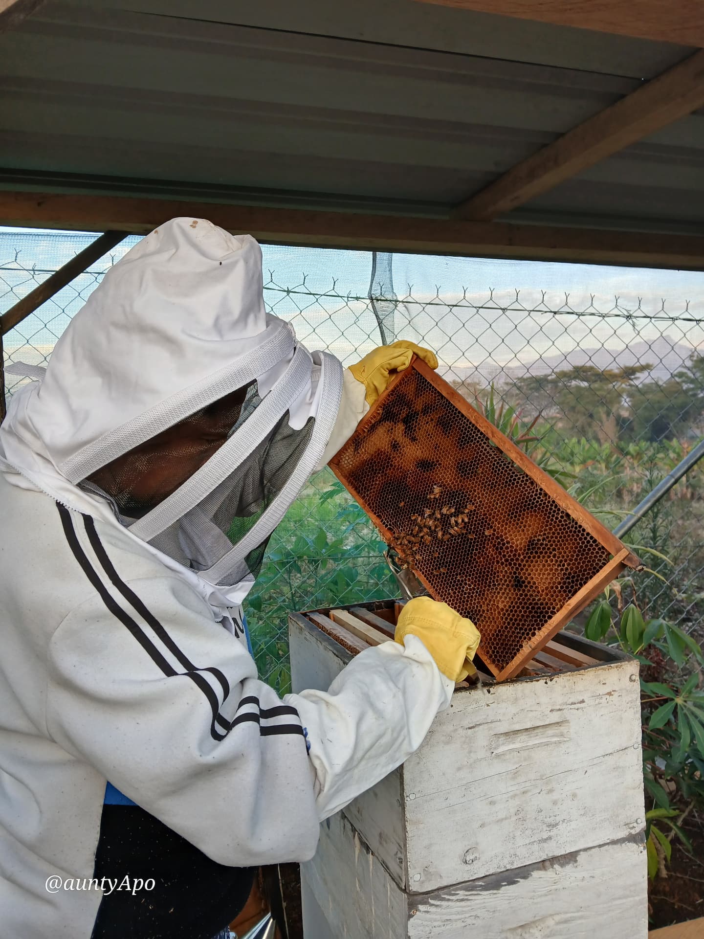 Local beekeepers in the Eastern Highlands with their honey harvest