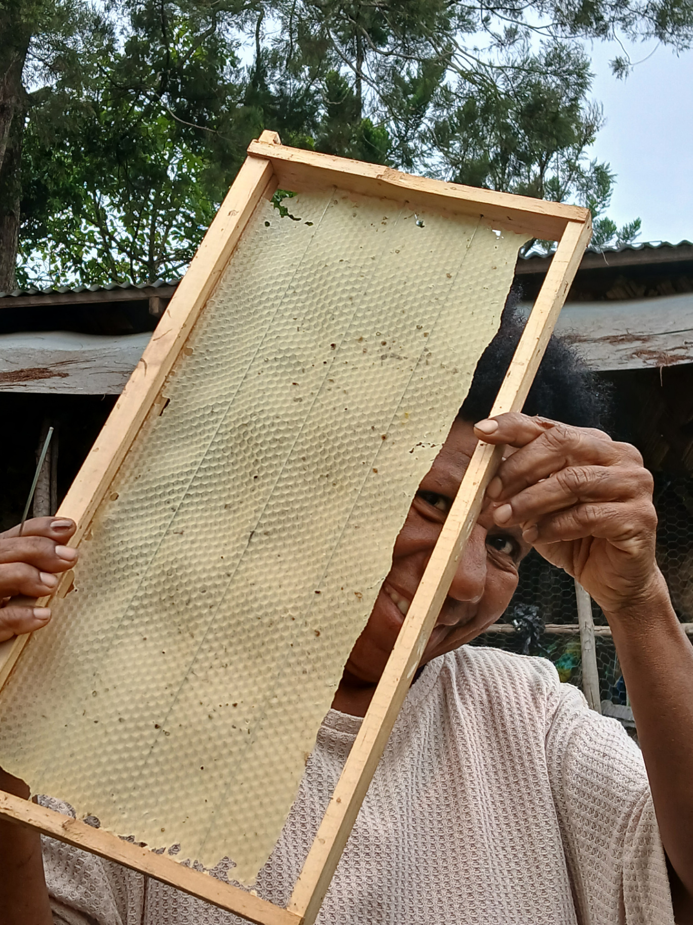 Local beekeeper holding a finished honey frame